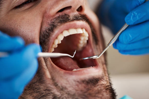 Best Walk-In Emergency Dental Services in Harriman, TN